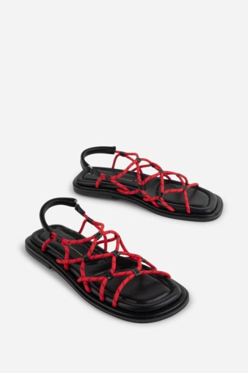 Tmhaitao.shop7abf6cce6f 1