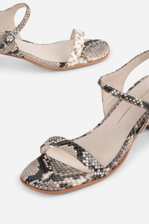 Tmhaitao.shop8a0ff3122c 4
