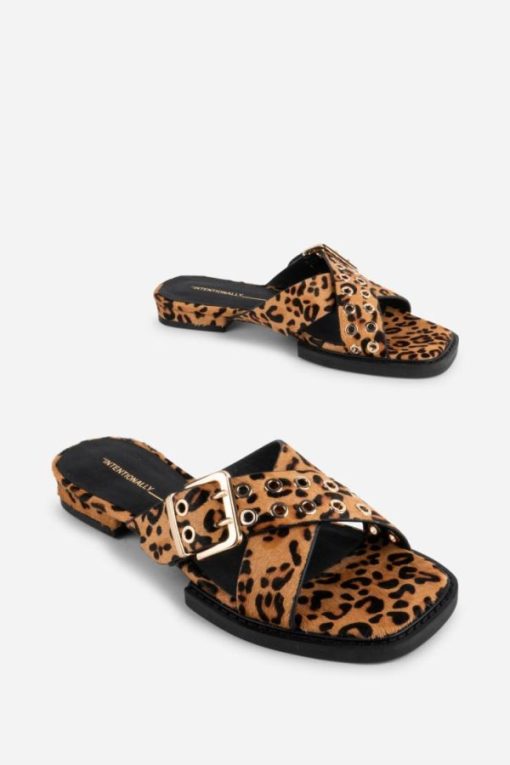 Tmhaitao.shop8f75a77777 1