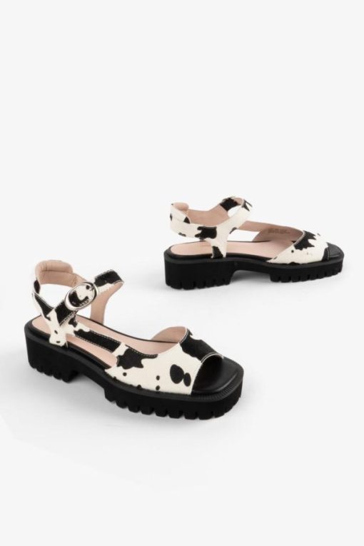 Tmhaitao.shop950936dfeb 1