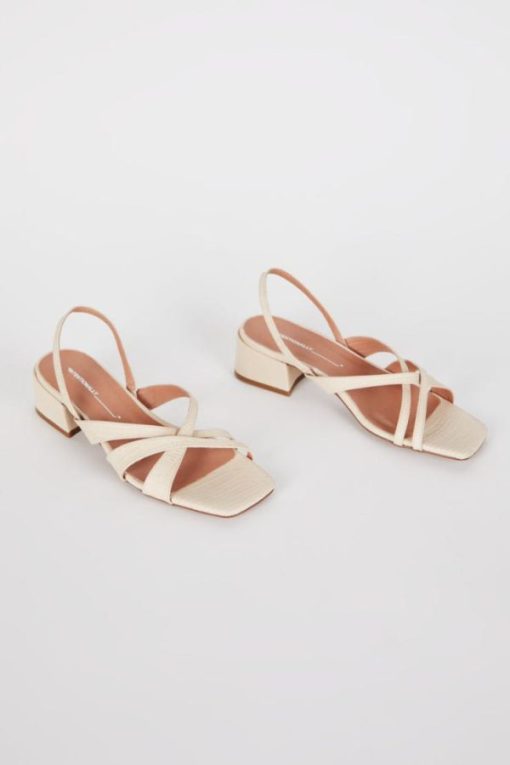 Tmhaitao.shop9c10a950cb 1